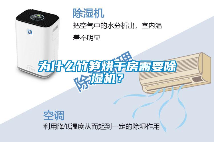 為什么竹筍烘干房需要除濕機(jī)？