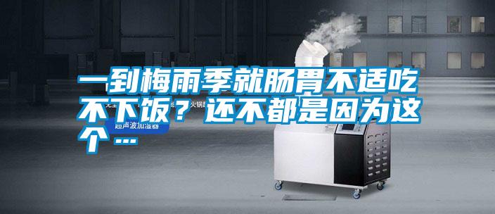 一到梅雨季就腸胃不適吃不下飯？還不都是因?yàn)檫@個…
