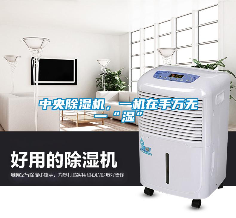 中央除濕機，一機在手萬無一“濕”