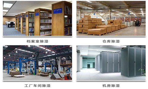 為什么竹筍烘干房需要除濕機(jī)？