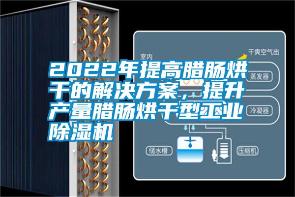 2022年提高臘腸烘干的解決方案，提升產(chǎn)量臘腸烘干型工業(yè)除濕機(jī)