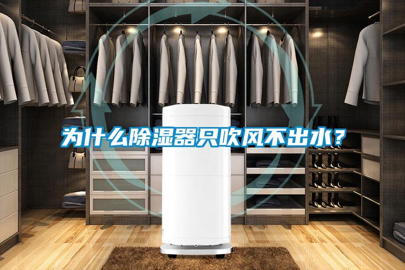 為什么除濕器只吹風(fēng)不出水？