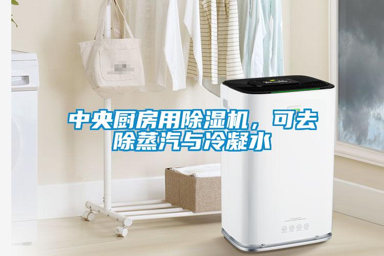 中央廚房用除濕機，可去除蒸汽與冷凝水