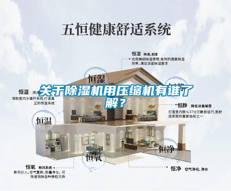 關(guān)于除濕機(jī)用壓縮機(jī)有誰了解？