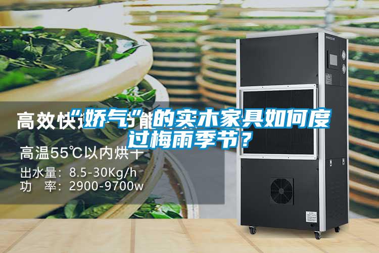 “嬌氣”的實(shí)木家具如何度過(guò)梅雨季節(jié)？