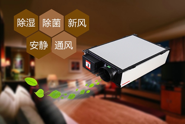 如何預(yù)防辦公室裝修后的防潮問題？