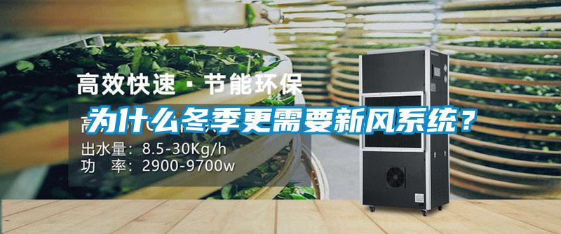 為什么冬季更需要新風(fēng)系統(tǒng)？