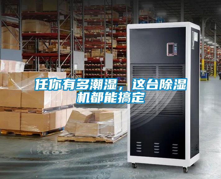 任你有多潮濕，這臺除濕機都能搞定