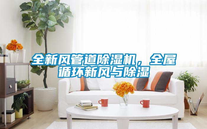 全新風(fēng)管道除濕機(jī)，全屋循環(huán)新風(fēng)與除濕