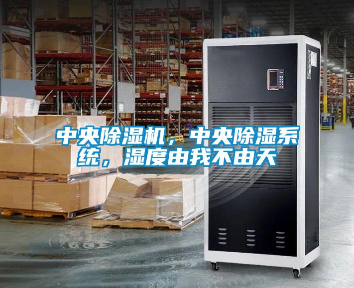 中央除濕機(jī)，中央除濕系統(tǒng)，濕度由我不由天