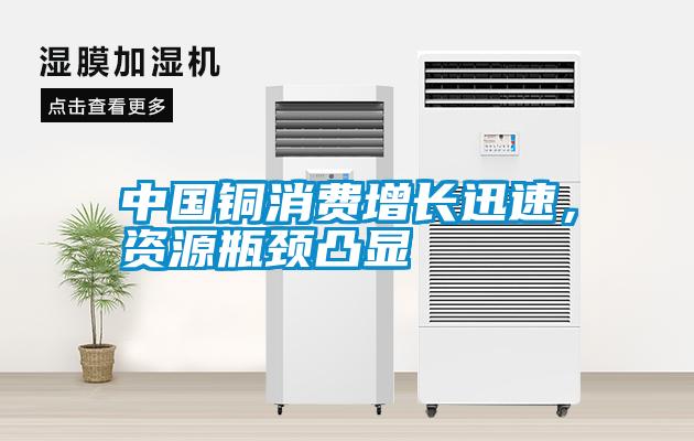 中國銅消費(fèi)增長(zhǎng)迅速，資源瓶頸凸顯