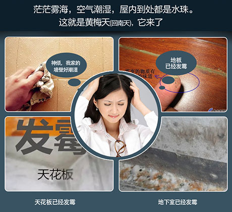 家庭別墅的地下室、衛(wèi)生間、儲物室等該如何除濕？