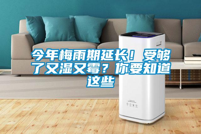 今年梅雨期延長！受夠了又濕又霉？你要知道這些