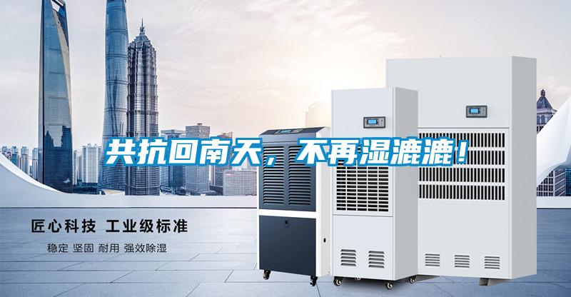 共抗回南天，不再濕漉漉！