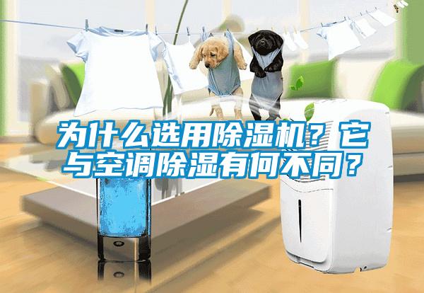為什么選用除濕機？它與空調除濕有何不同？