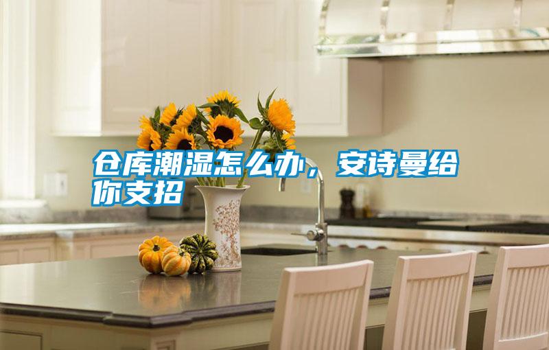 倉(cāng)庫(kù)潮濕怎么辦，安詩(shī)曼給你支招