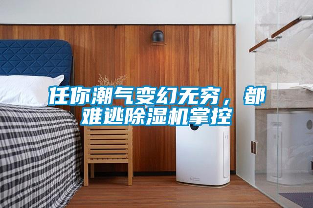 任你潮氣變幻無窮，都難逃除濕機掌控