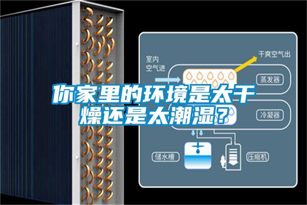 你家里的環(huán)境是太干燥還是太潮濕？