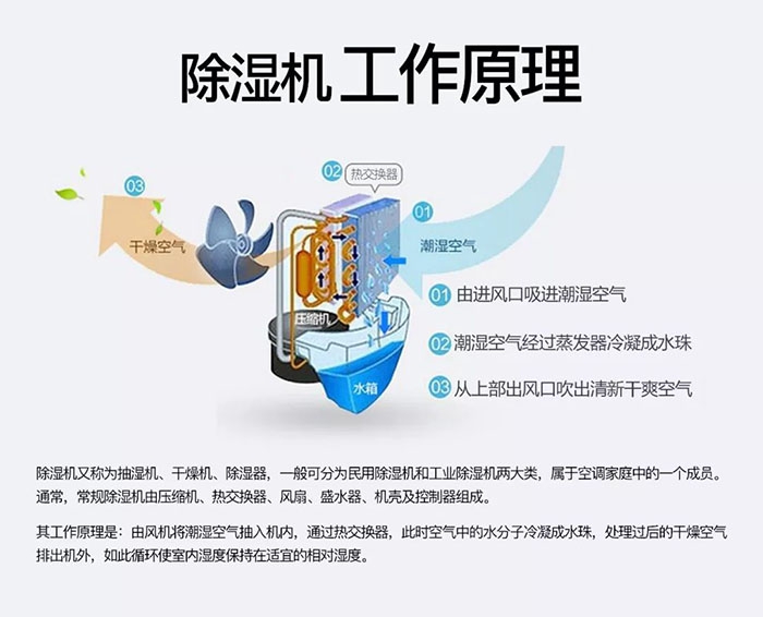 南方梅雨季到了房屋墻壁滲水、返潮怎么辦？