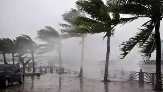 8月臺風(fēng)雨即將來，除濕機還得用起來