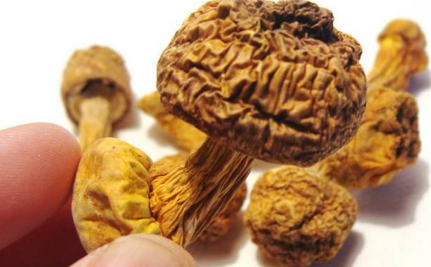 巴西菇、姬松茸烘干機(jī)-怎樣烘干色澤好且菇體褶片完整？