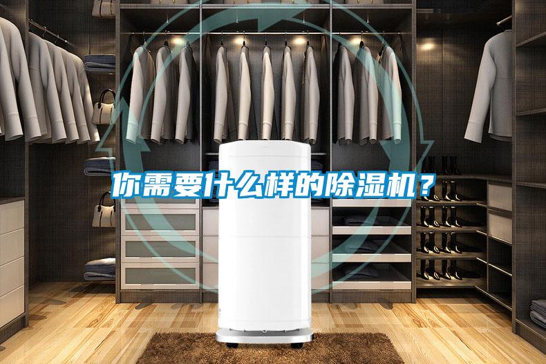 你需要什么樣的除濕機(jī)？