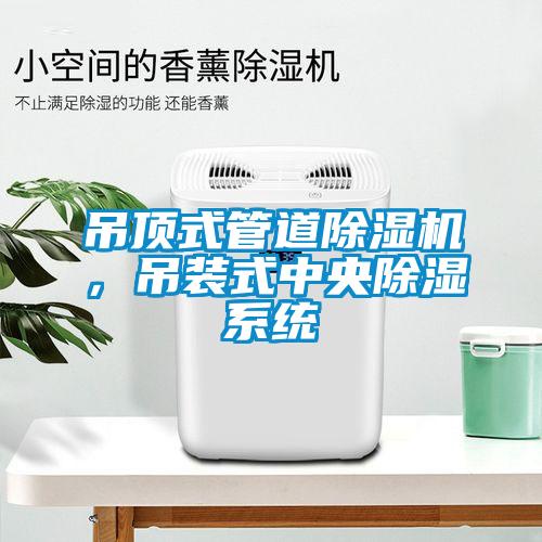 吊頂式管道除濕機，吊裝式中央除濕系統(tǒng)
