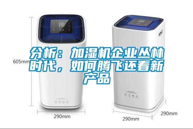 分析：加濕機企業(yè)叢林時代，如何騰飛還看新產品