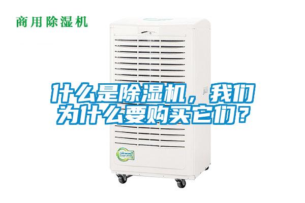 什么是除濕機，我們?yōu)槭裁匆徺I它們？