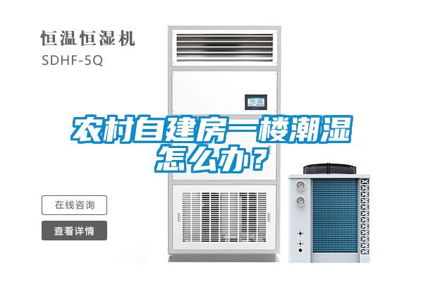 農(nóng)村自建房一樓潮濕怎么辦？