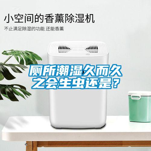 廁所潮濕久而久之會生蟲還是？