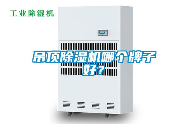 吊頂除濕機(jī)哪個牌子好？