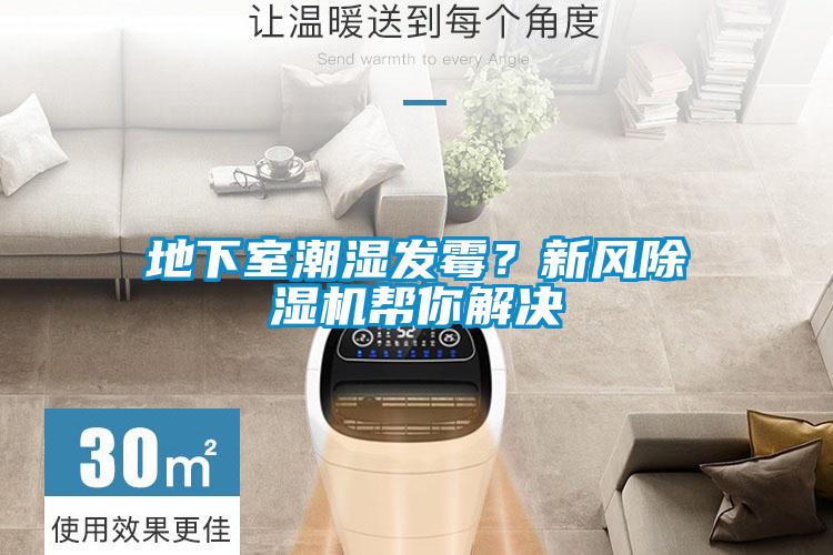 地下室潮濕發(fā)霉？新風(fēng)除濕機(jī)幫你解決