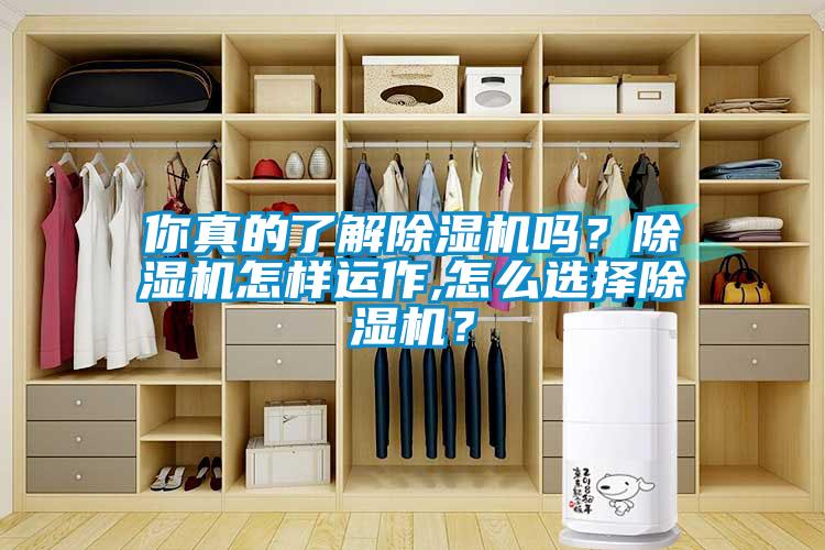你真的了解除濕機嗎？除濕機怎樣運作,怎么選擇除濕機？