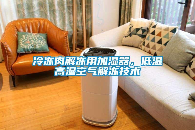 冷凍肉解凍用加濕器，低溫高濕空氣解凍技術(shù)