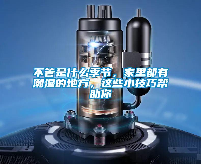 不管是什么季節(jié)，家里都有潮濕的地方，這些小技巧幫助你