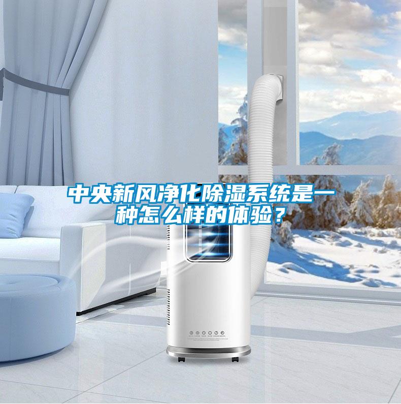 中央新風凈化除濕系統(tǒng)是一種怎么樣的體驗？