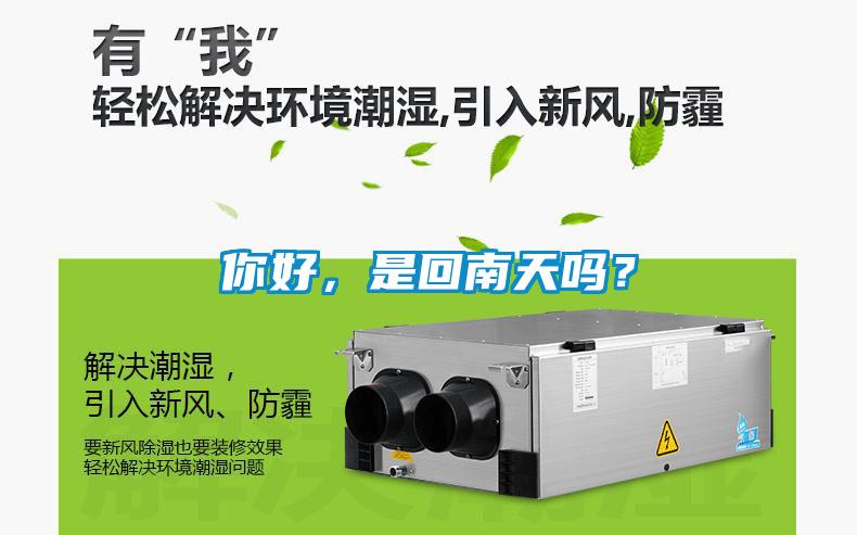你好，是回南天嗎？