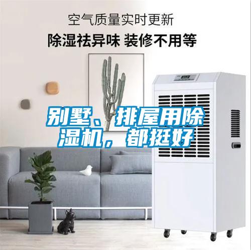 別墅、排屋用除濕機(jī)，都挺好