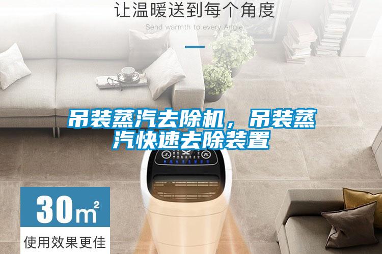 吊裝蒸汽去除機(jī)，吊裝蒸汽快速去除裝置