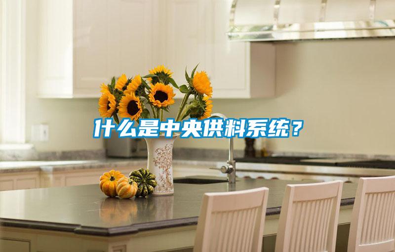 什么是中央供料系統(tǒng)？