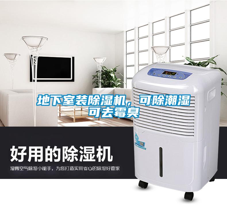 地下室裝除濕機(jī)，可除潮濕可去霉臭