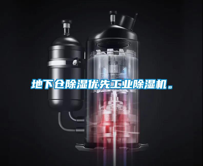 地下倉(cāng)除濕優(yōu)先工業(yè)除濕機(jī)。