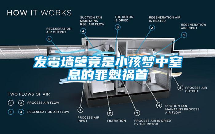 發(fā)霉墻壁竟是小孩夢中窒息的罪魁禍首