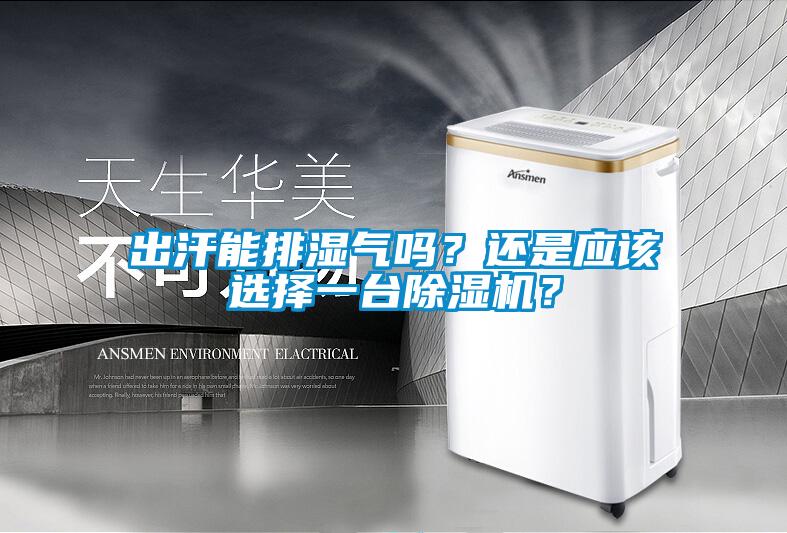 出汗能排濕氣嗎？還是應(yīng)該選擇一臺(tái)除濕機(jī)？