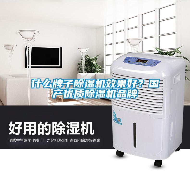 什么牌子除濕機(jī)效果好？國(guó)產(chǎn)優(yōu)質(zhì)除濕機(jī)品牌