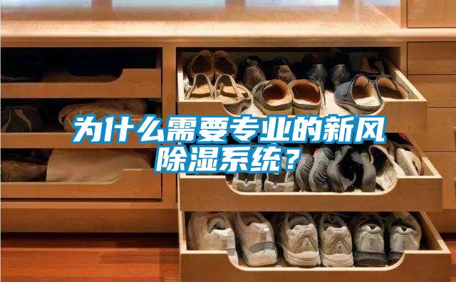 為什么需要專業(yè)的新風(fēng)除濕系統(tǒng)？