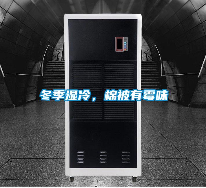 冬季濕冷，棉被有霉味