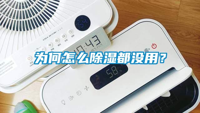 為何怎么除濕都沒用？