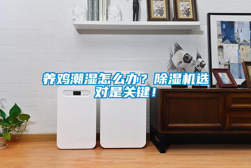養(yǎng)雞潮濕怎么辦？除濕機(jī)選對(duì)是關(guān)鍵！